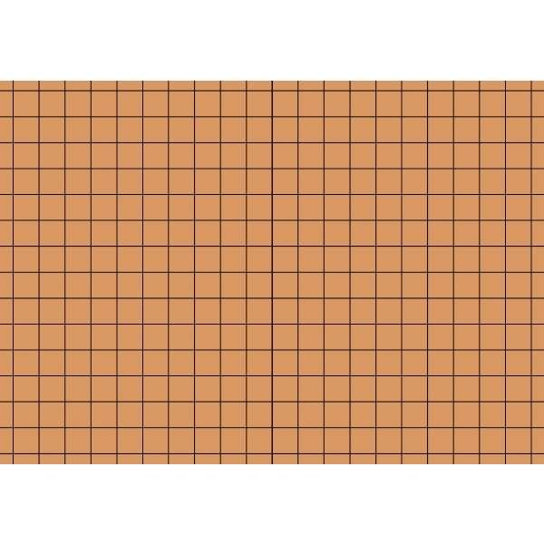 Karteikarten A7 kariert orange VE=100 Stück