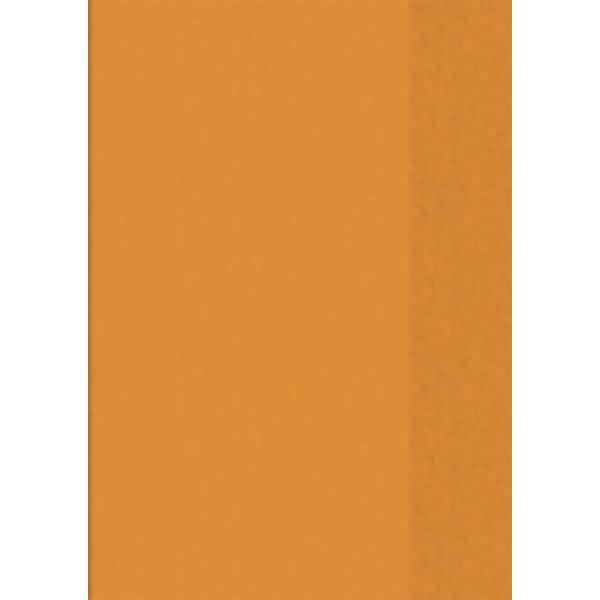 Heftumschlag A4 orange