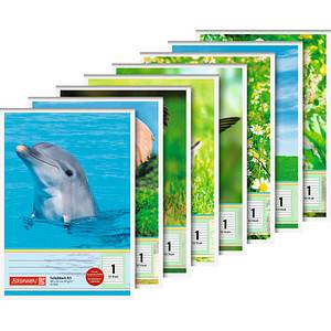 Brunnen Collegeblock Lineatur 1 11 Liniensysteme Kontrastlineatur liniert DIN -