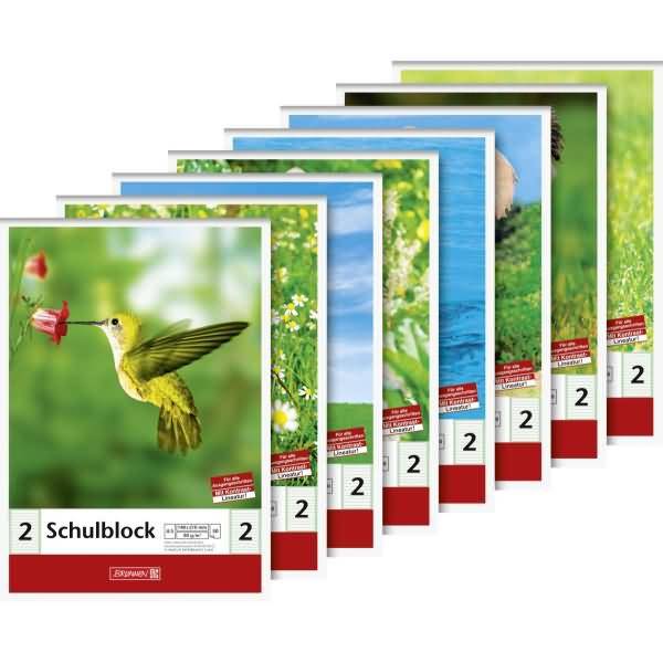 Schulblock A5 80g/qm 50 Blatt Lineatur 2 50 Blatt Motive sortiert