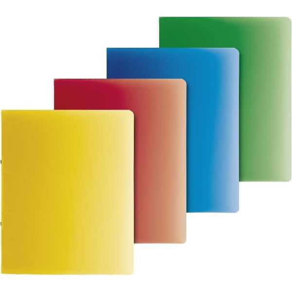 Ringbuch Fact! A4 25mm 2 Ringe farbig sortiert