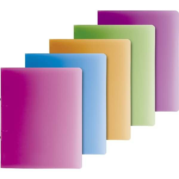 Ringbuch Fact! A4 16mm 2 Ringe farbig sortiert