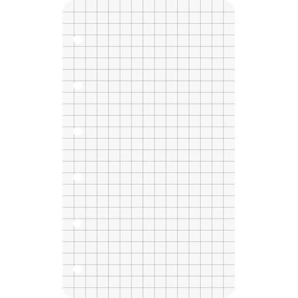 Ringbucheinlagen 7,4x12,8cm kariert 50 Blatt