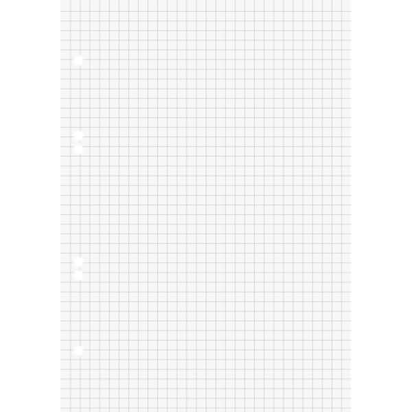 Ringbucheinlagen A5 kariert 100 Blatt