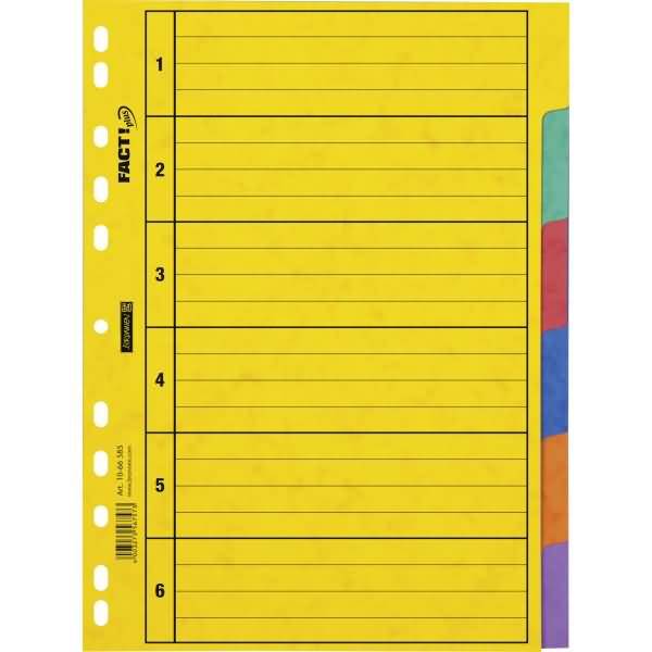 Register A4 6-teilig Karton blanko vollfarbig 6 Farben