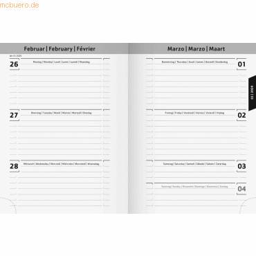 Schülerkalender 2019/2020 1 Woche/2 Seiten 12x16cm A6 'Racoon' Broschur-Einband