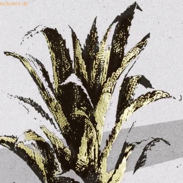 Schülerkalender 2019/2020 1 Woche/2 Seiten 12x16cm A6 'Pineapple' PP-Einband