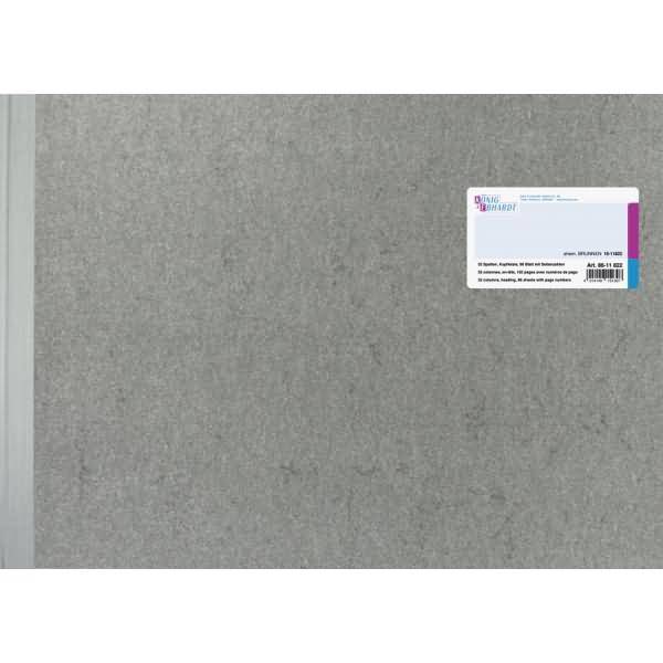 Spaltenbuch 42,5x29,7cm mit Kopfleiste 32 Spalten 96 Blatt hellblau