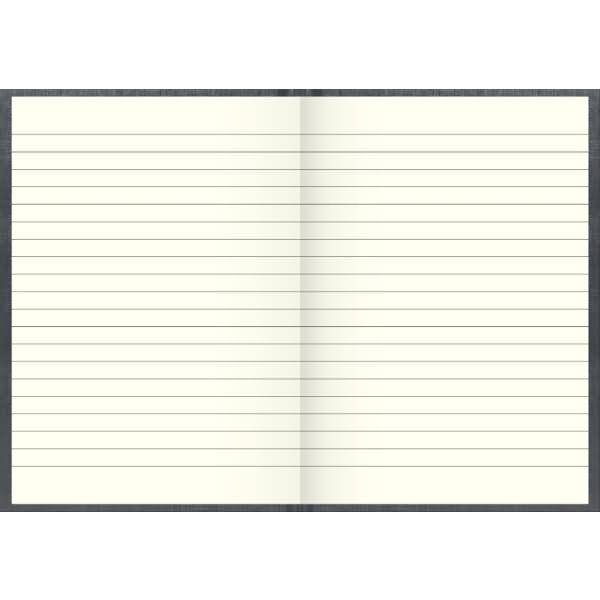 Geschäftsbuch A5 liniert 144 Blatt hellblau