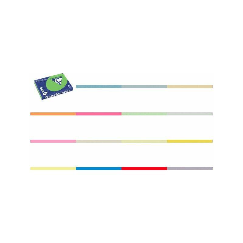 Clairefontaine Multifunktionspapier, DIN A3, lila