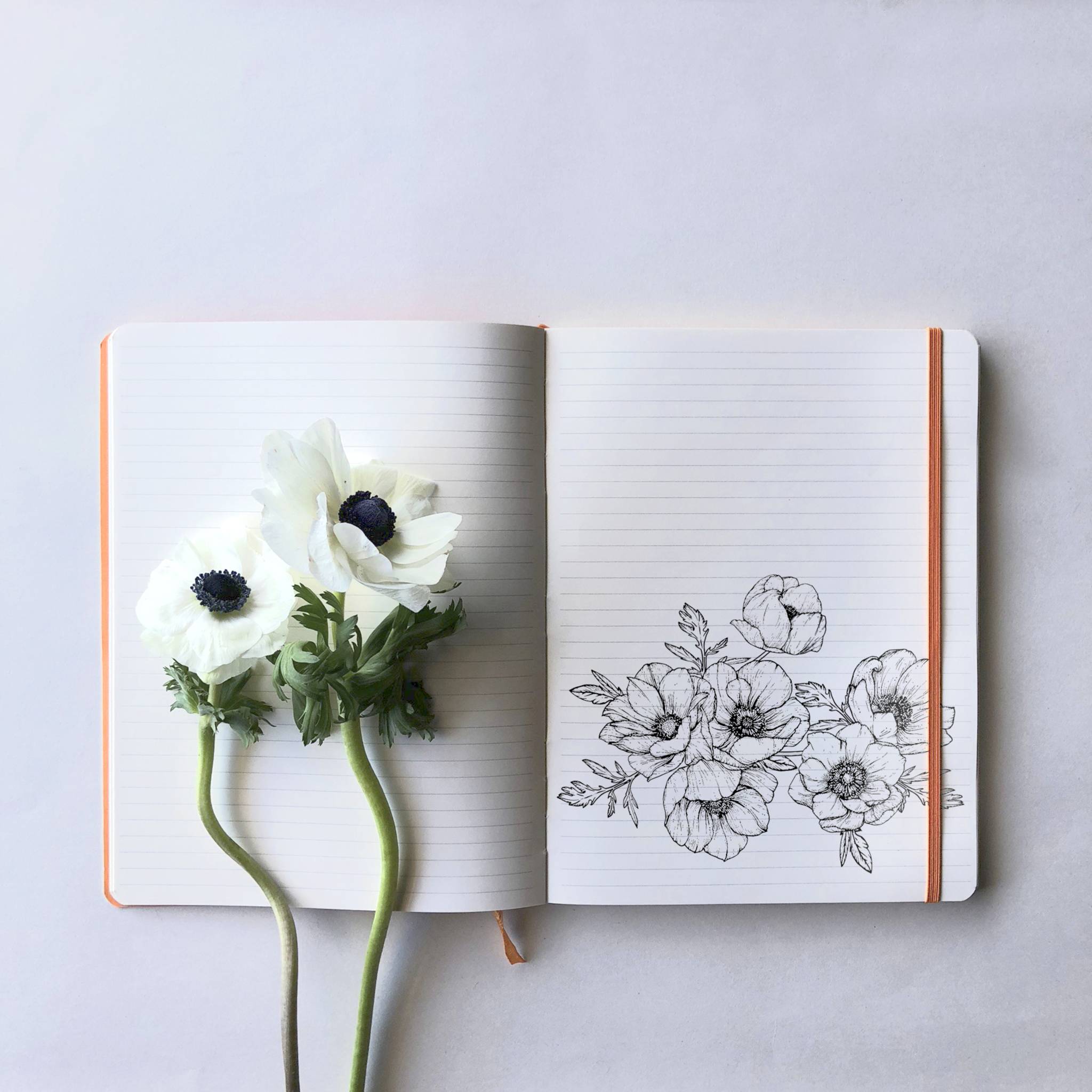 Rhodia Notizbuch A5 Softcover, 80 Bl elfenbein 90g, liniert, Mohnrot 117413C