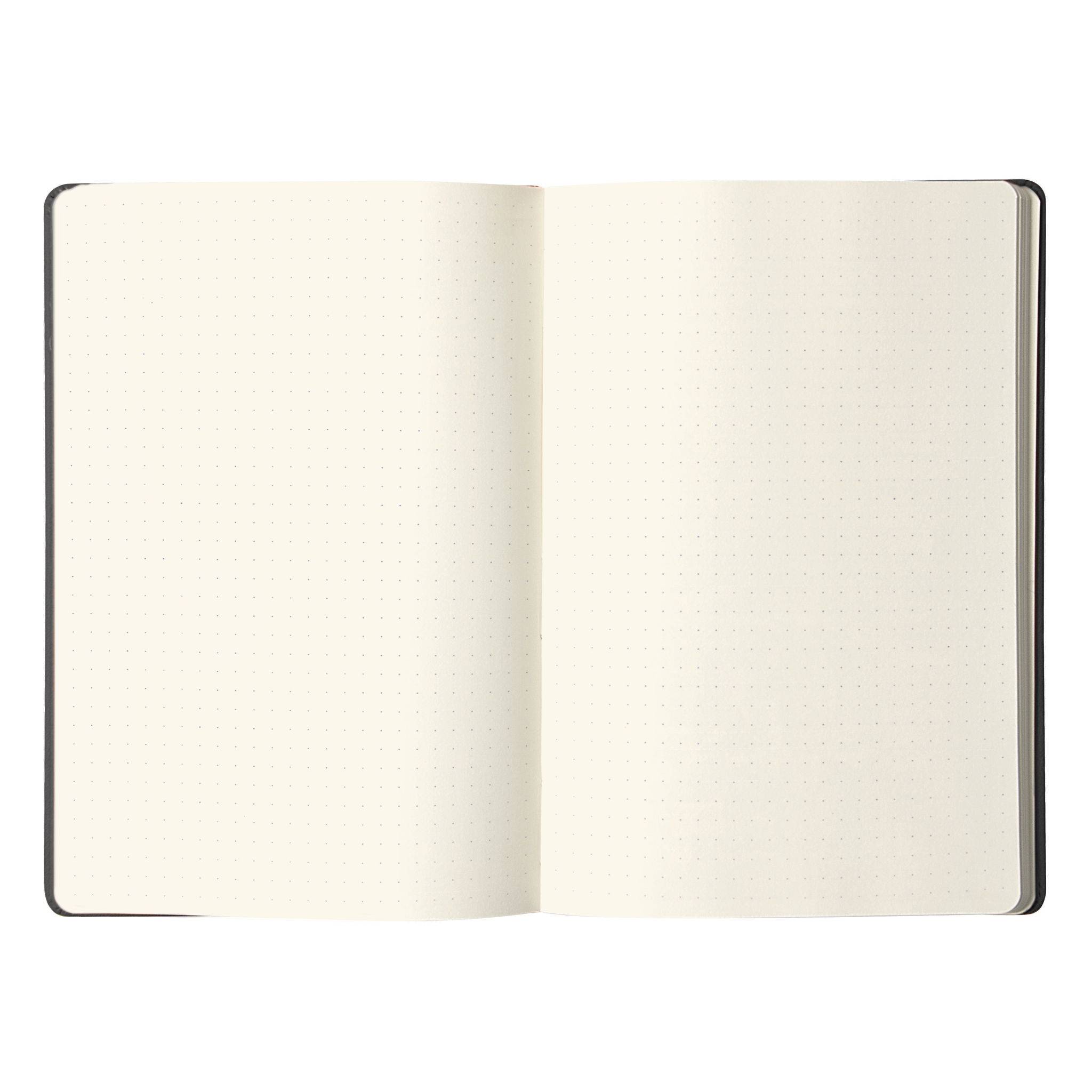 Rhodia Webnotebook Rhodia A5 96 Blatt dot/punktkariert 90g - Schwarz 118769C