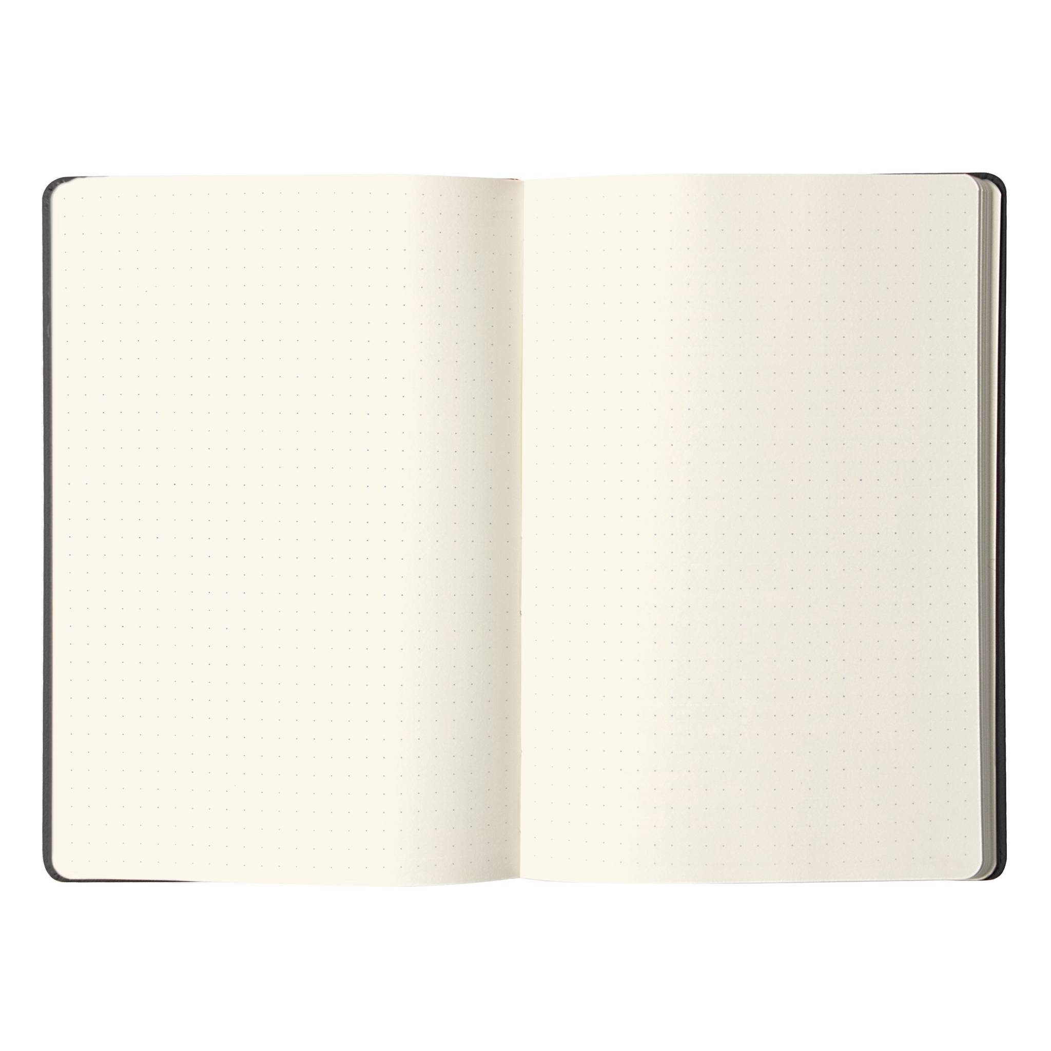 Rhodia Webnotebook Rhodia A5 96 Blatt dot/punktkariert 90g - Schwarz 118769C