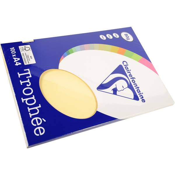Kopierpapier Pollen A4 80g/qm 100 Blatt chamois