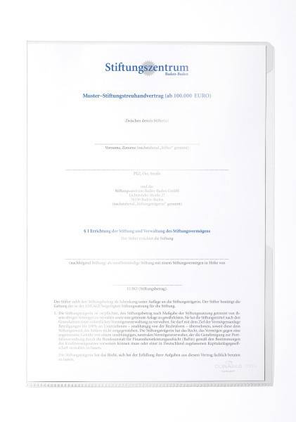 Durable 231919, 210 x 297 mm (A4), Transparent, PVC, Matte, Porträt, 0,15 mm