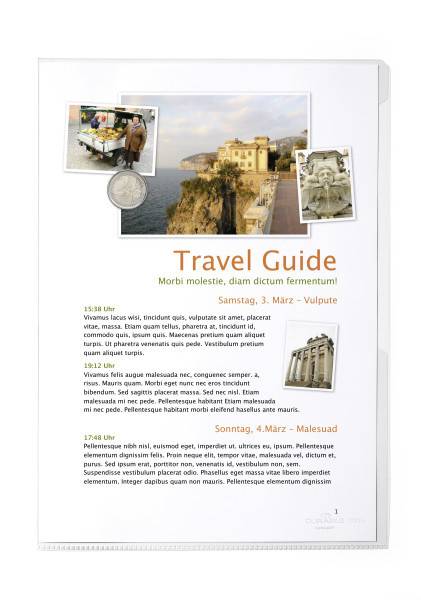 Durable 231919, 210 x 297 mm (A4), Transparent, PVC, Matte, Porträt, 0,15 mm