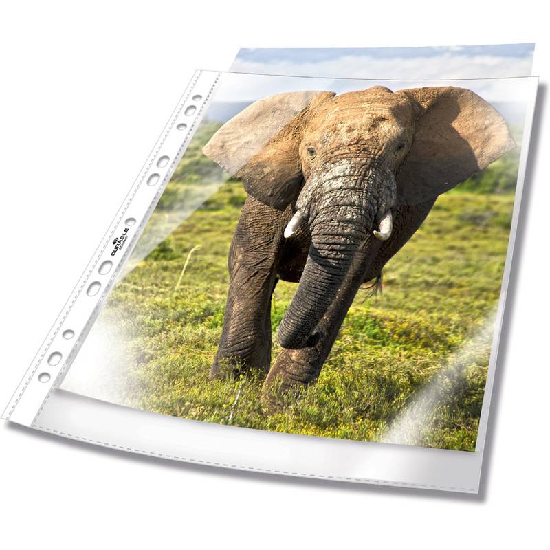 Durable 265819, Transparent, 100 Stück(e)