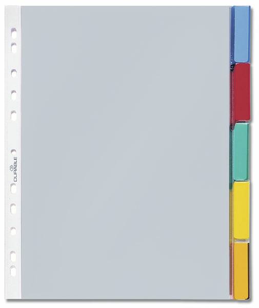 Durable 6630, Leerer Registerindex, Transparent, 250 mm, 302 mm