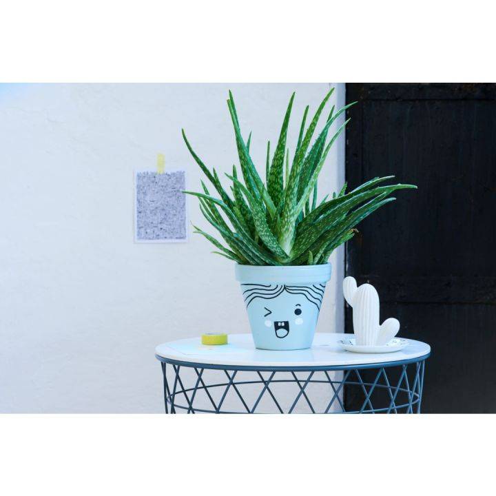 edding 750 Glanzlackmarker sortiert (8er Faltschachtel)