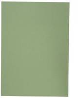 Elba 100091652, A4, Karton, Grün, 100 Blätter, 250 g/m², 230 mm