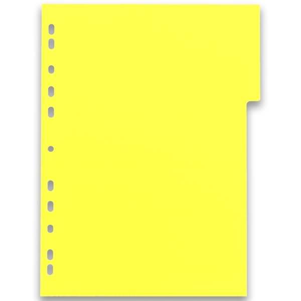 ELBA myColour - Trennelement - 12 Teile - für A4