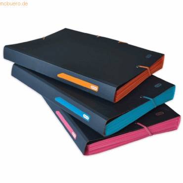 Ordnungsmappe for Students A4 8 Fächer PP blickdicht sortiert