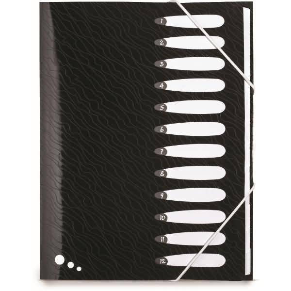 Ordnungsmappe Art Studio PP A4 12 Taben schwarz