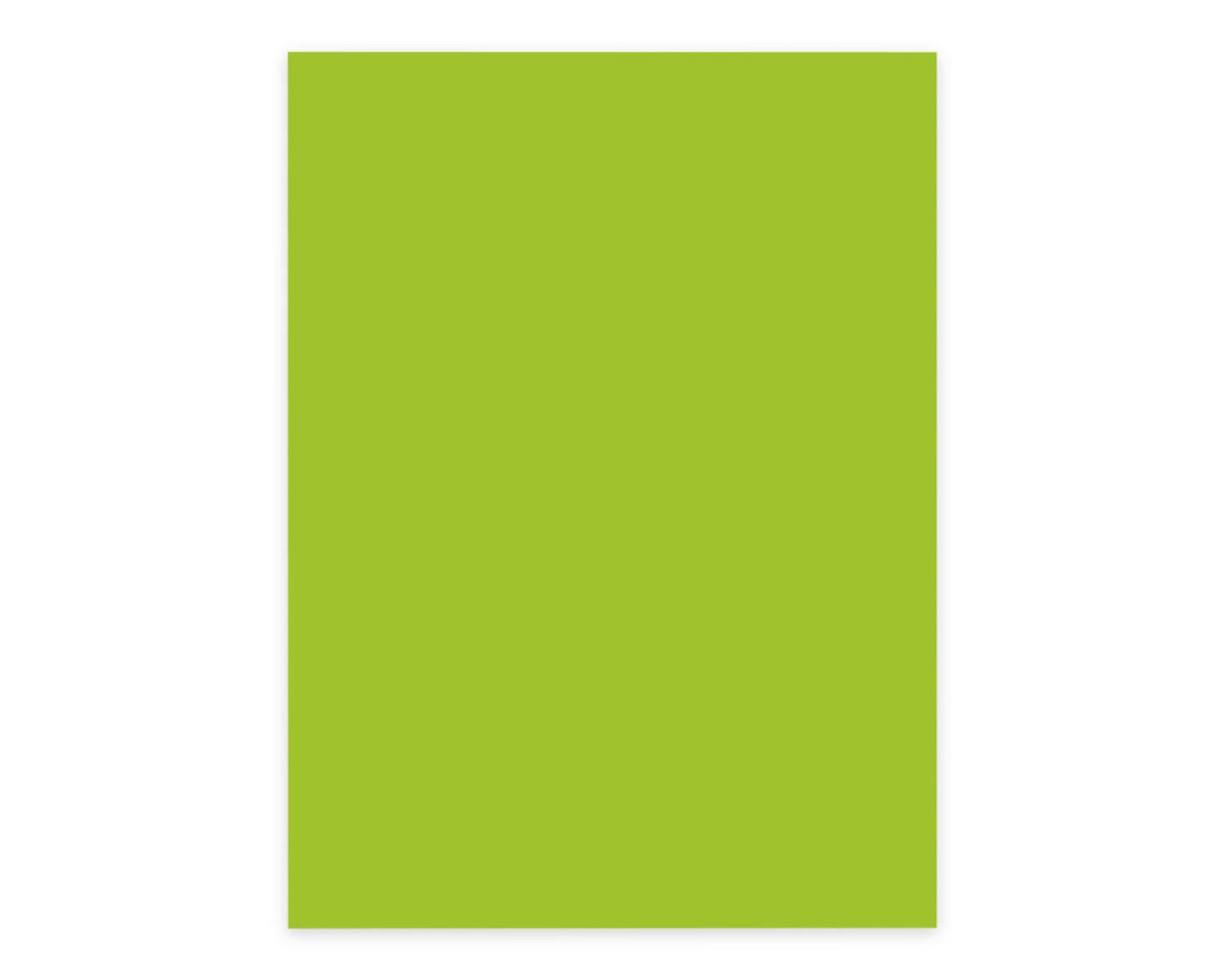 Elco 74616.62, Universal, A4 (210x297 mm), 100 Blätter, 80 g/m², Grün, Forest Stewardship Council (FSC)