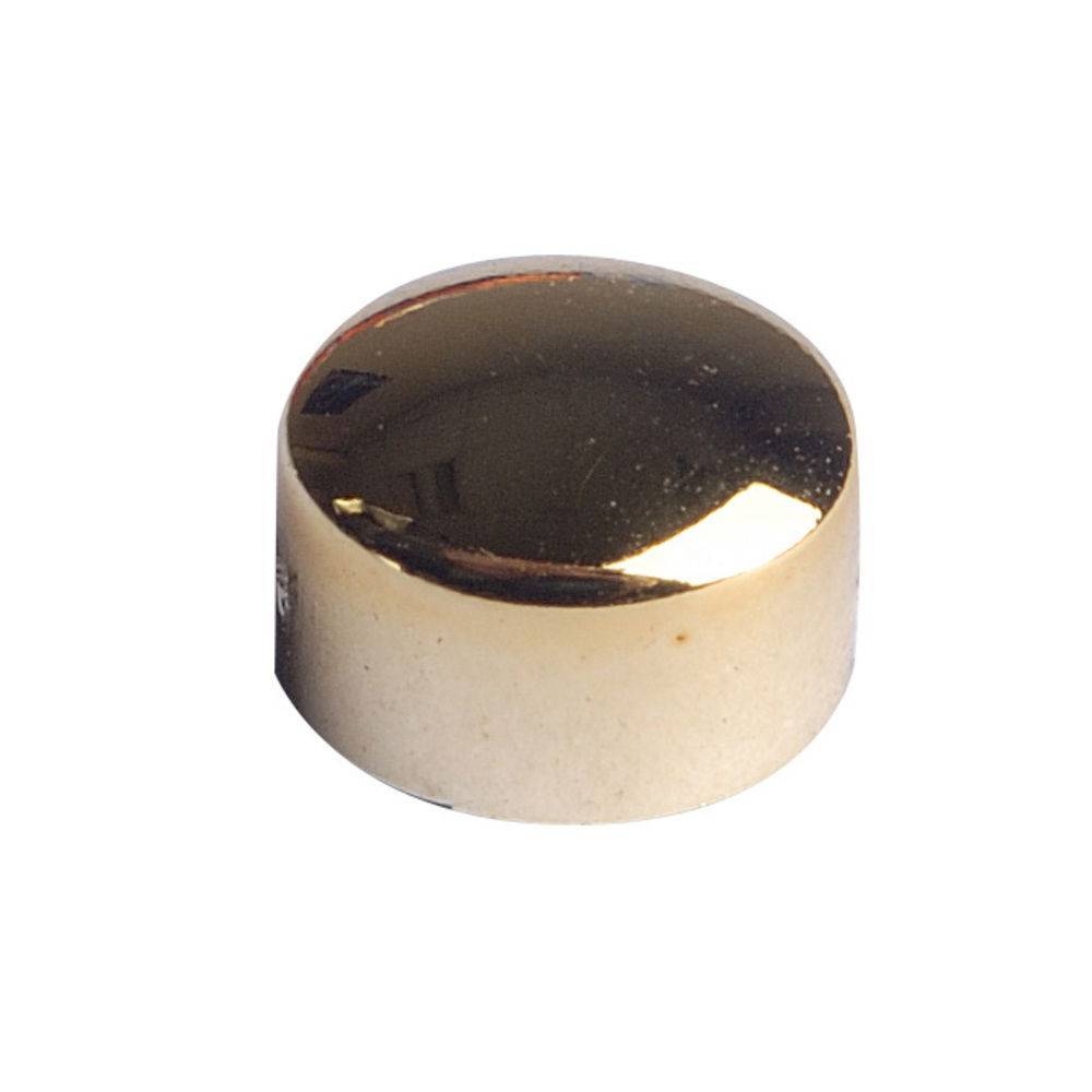 Exacompta Packung 8 Magneten F9, 9mm Durchmesser - Gold - 10912E