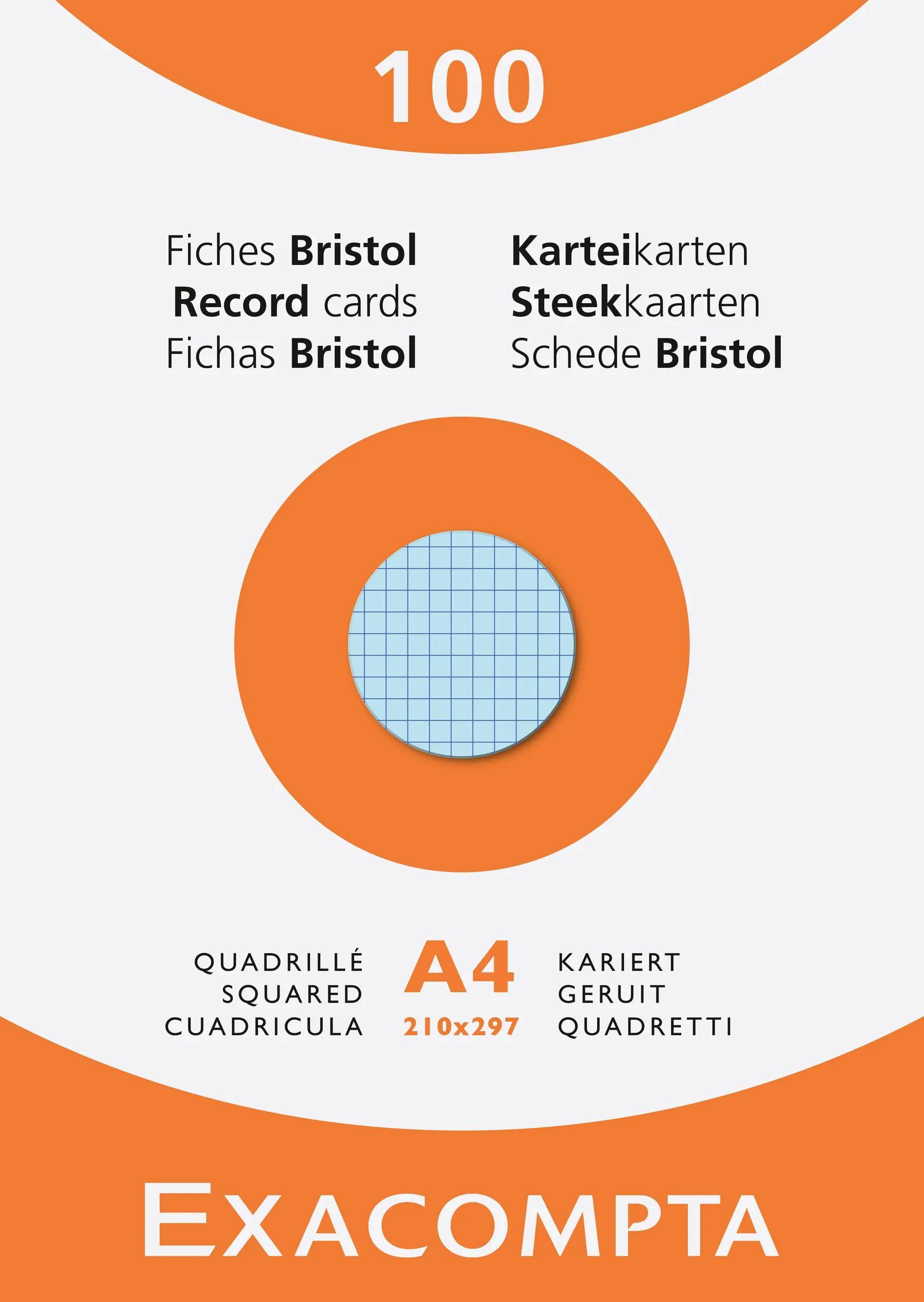 Exacompta Karteikarten A4 kariert, Faltschachtel mit 100 Stück, sortiert, 13276E