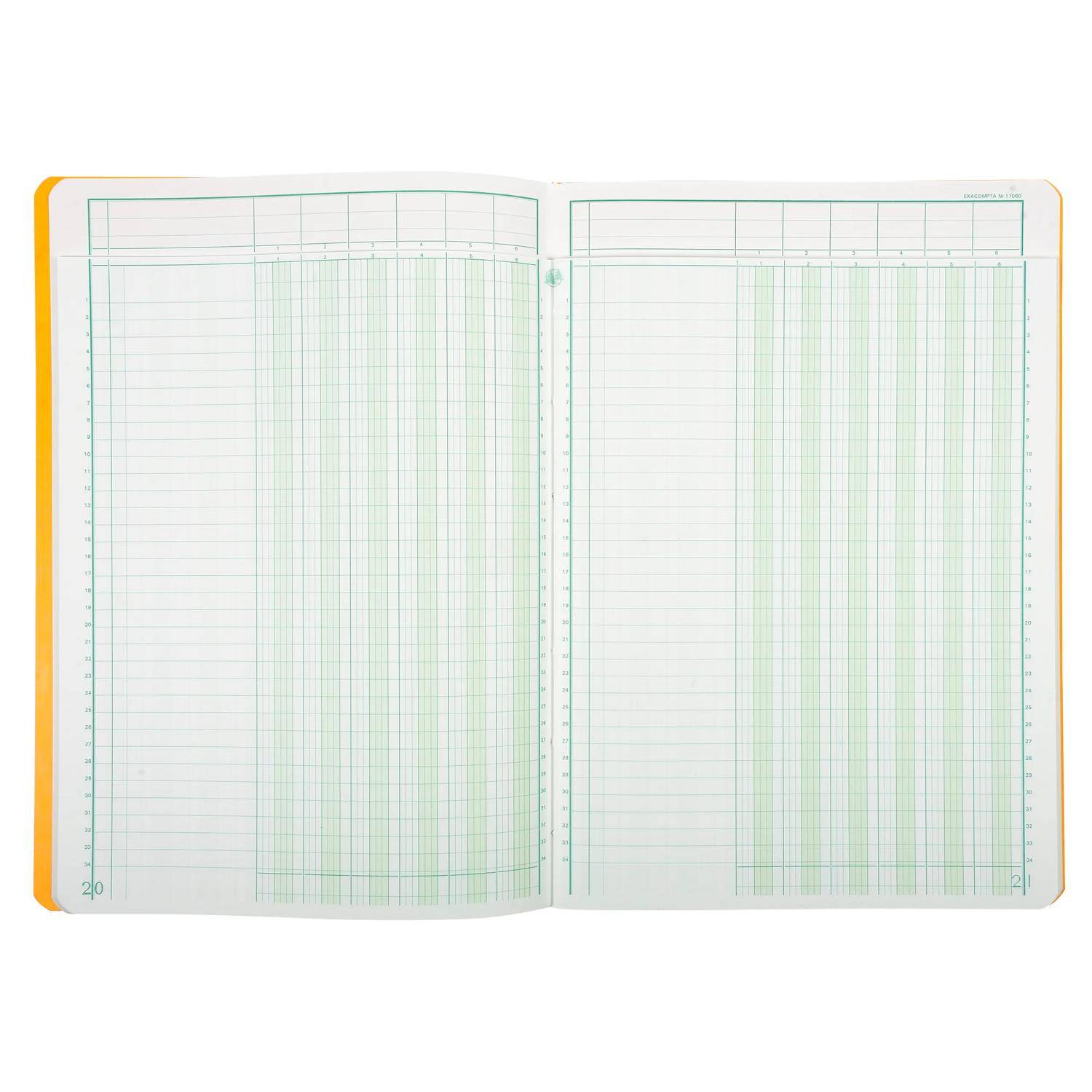 Offenes leeres zweiseitiges Ledger-Notizbuch mit grünen Gitterlinien und nummerierten Rändern zur Führung von Aufzeichnungen.