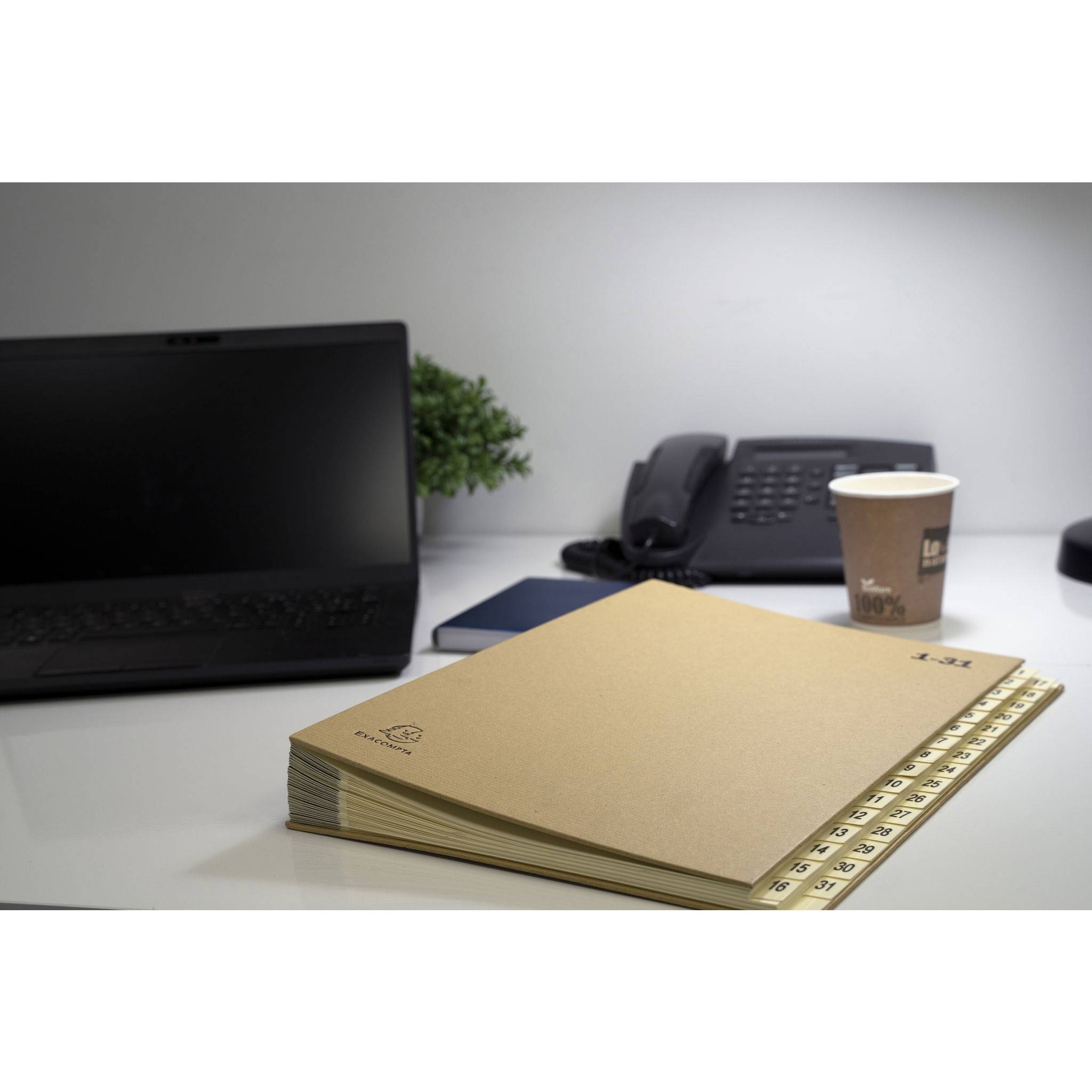 Exacompta Ordnungsmappe mit 31 Fächern von 1-31 Kraft, A4, Kraft braun, 22219E