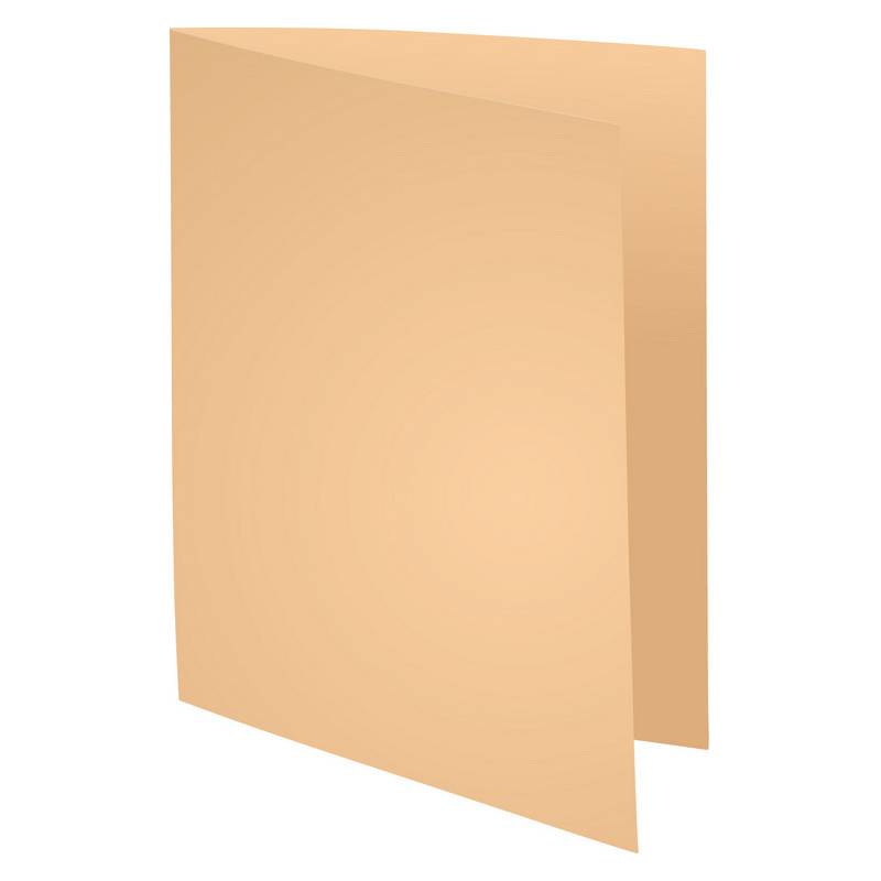 EXACOMPTA Aktendeckel FOREVER 250, DIN A4, chamois