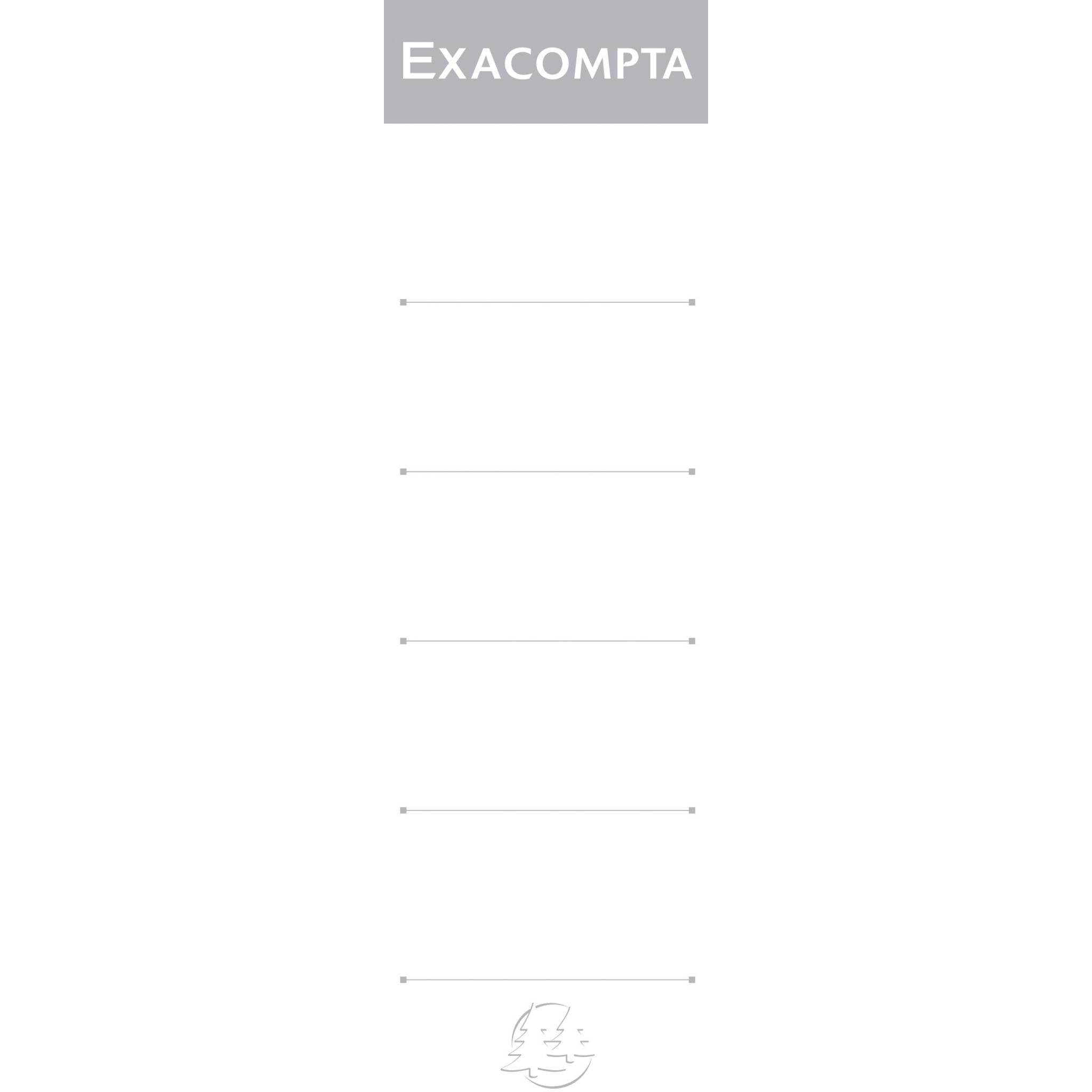 Exacompta Rückenschilder zum Einstecken (10 Stück) für Ordner 70mm Weiß 537E