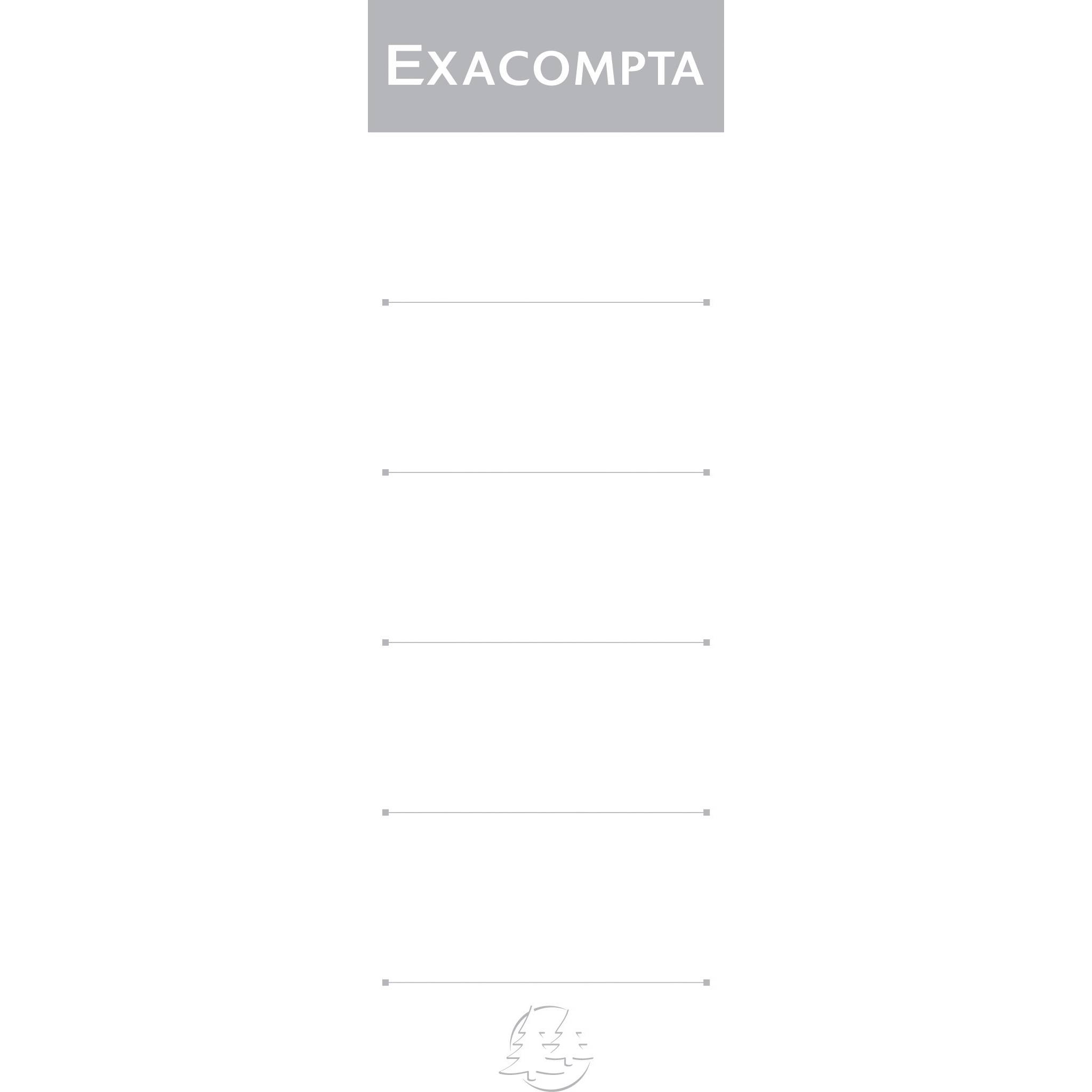 Exacompta Rückenschilder zum Einstecken (10 Stück) für Ordner 80mm Weiß 538E