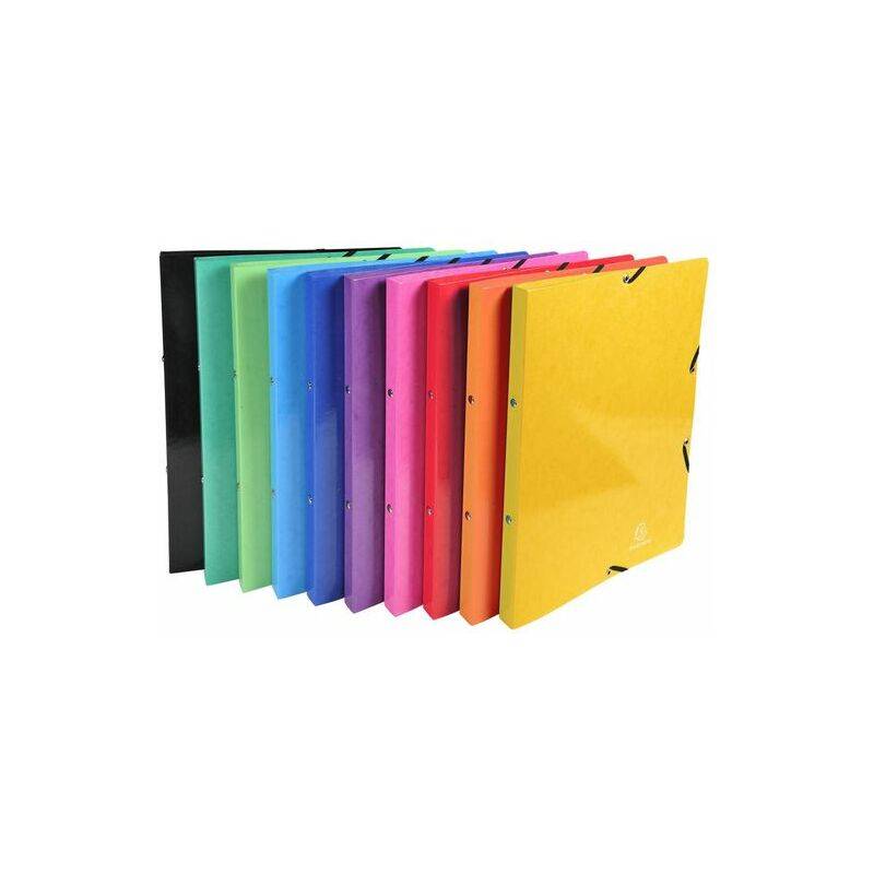 EXACOMPTA Ringbuch Iderama, 2-Ring-Mechanik, A4, sortiert