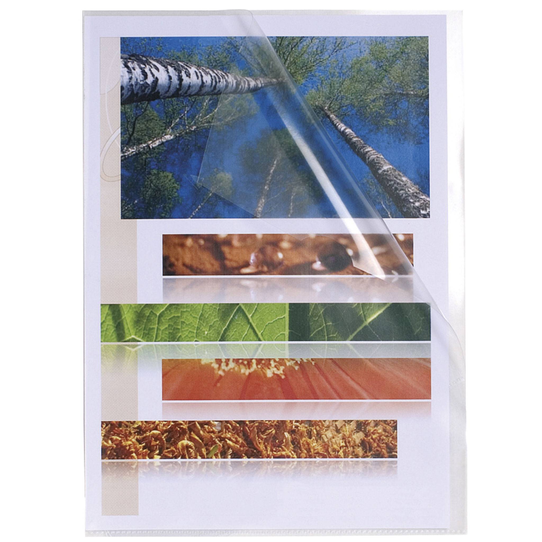 Exacompta 100x Aktensichthüllen glattem PP 120µ,DIN A4, Kristall, 56111E