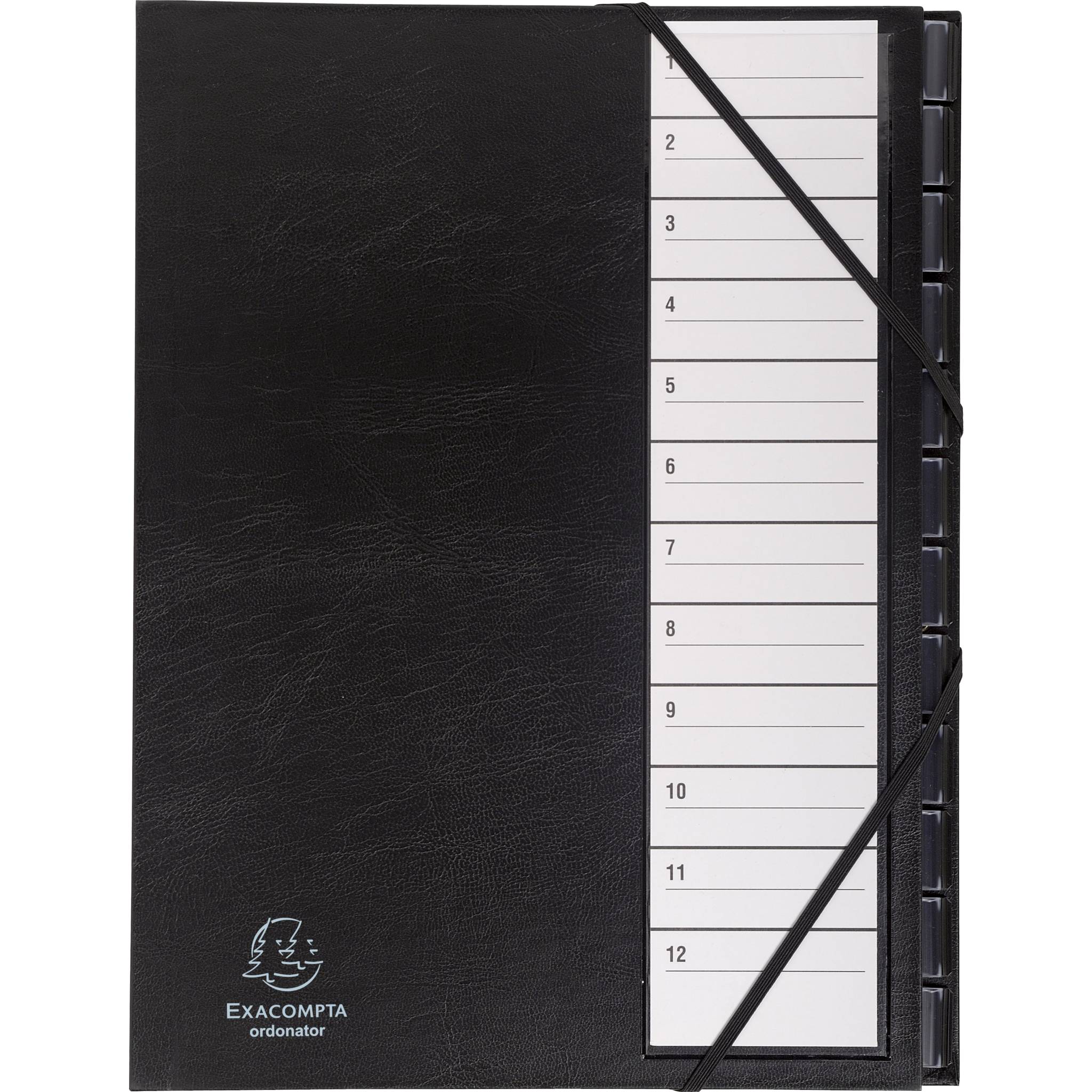Exacompta Ordnungsmappe Deckel Gummizug dehnbar 12Fächer 1-12 A4 Schwarz 625665E