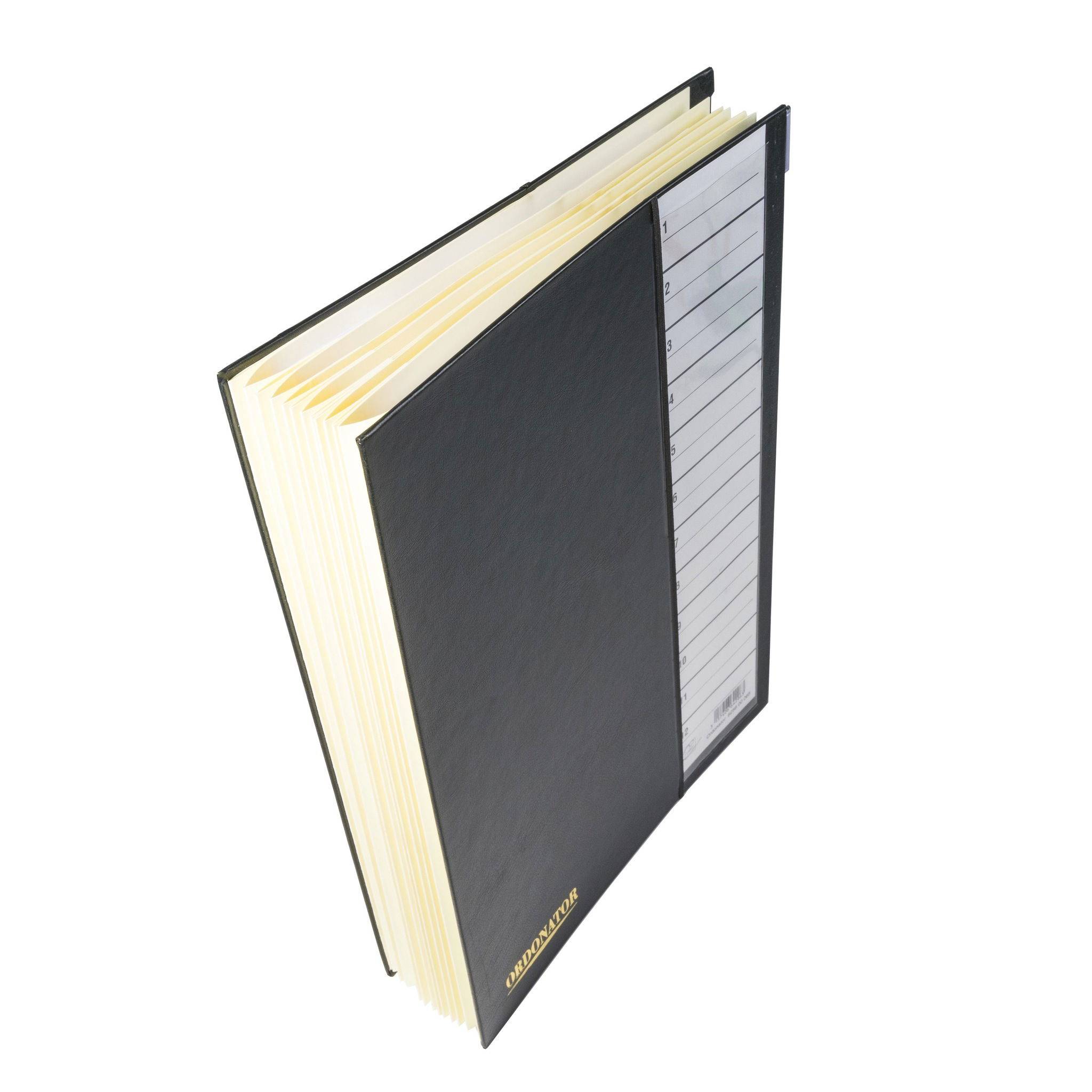 Exacompta Ordnungsmappe Deckel Gummizug dehnbar 12Fächer 1-12 A4 Schwarz 625665E