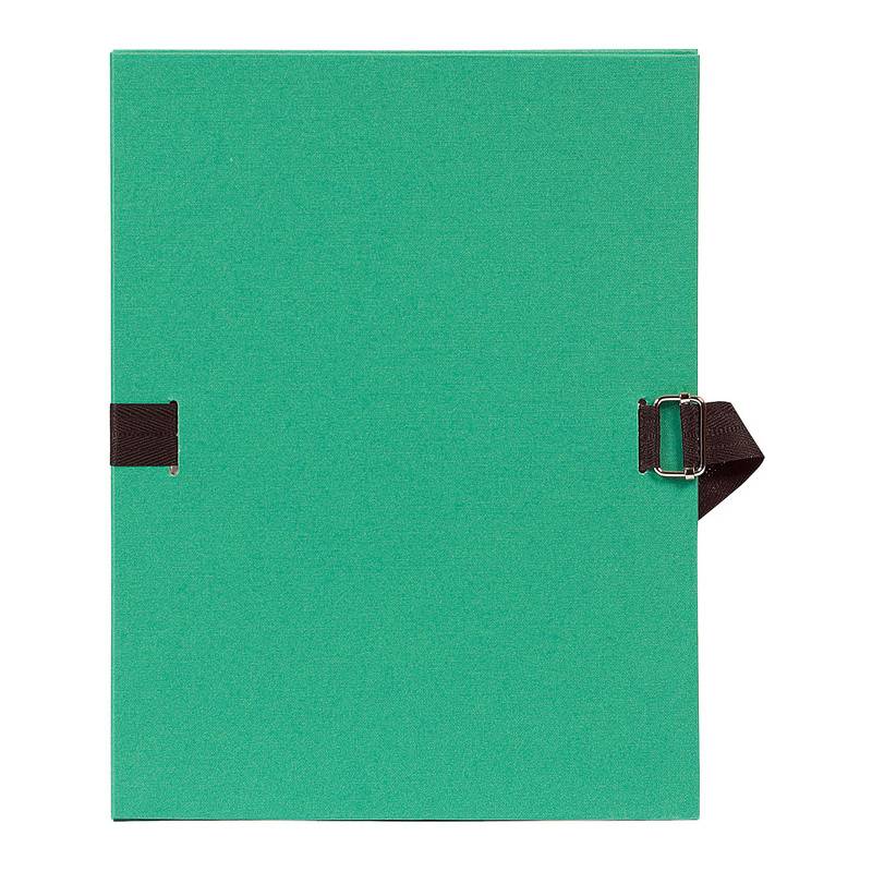 EXACOMPTA Dokumentenmappe, DIN A4, Karton, hellgrün