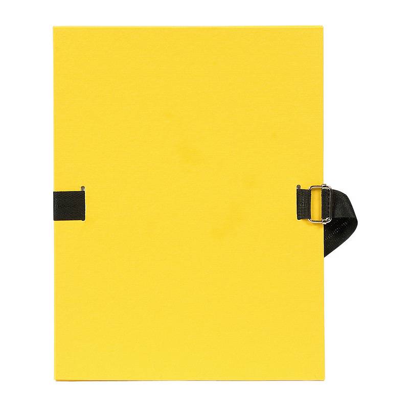 EXACOMPTA Dokumentenmappe, DIN A4, Karton, gelb