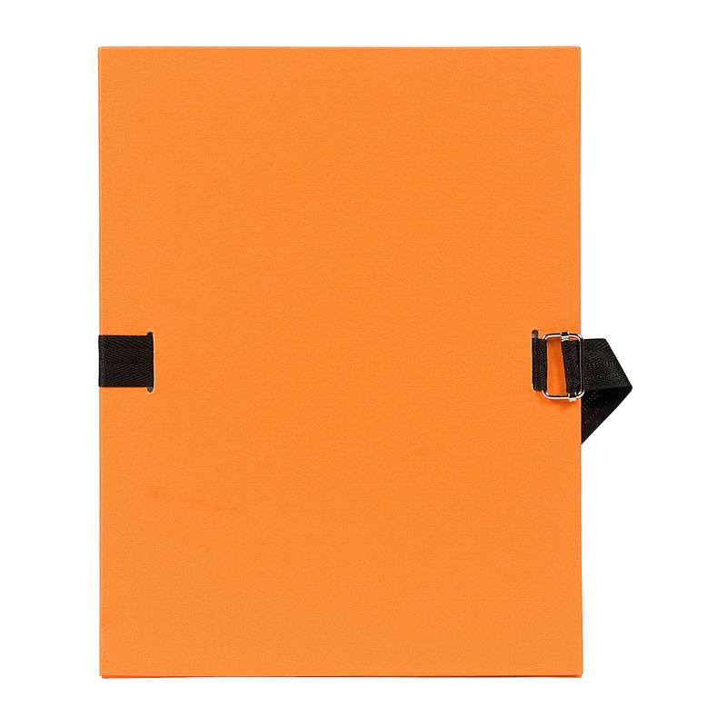 EXACOMPTA Dokumentenmappe, DIN A4, Karton, orange