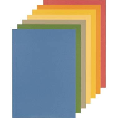 Falken Aktendeckel 80001282 23x31,8cm gefalzt Karton 250g or