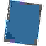 Trennblätter A4 230g/qm durchgefärbt blau