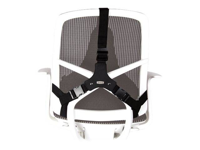 Fellowes Professional Series Ultimate - Rückenstütze