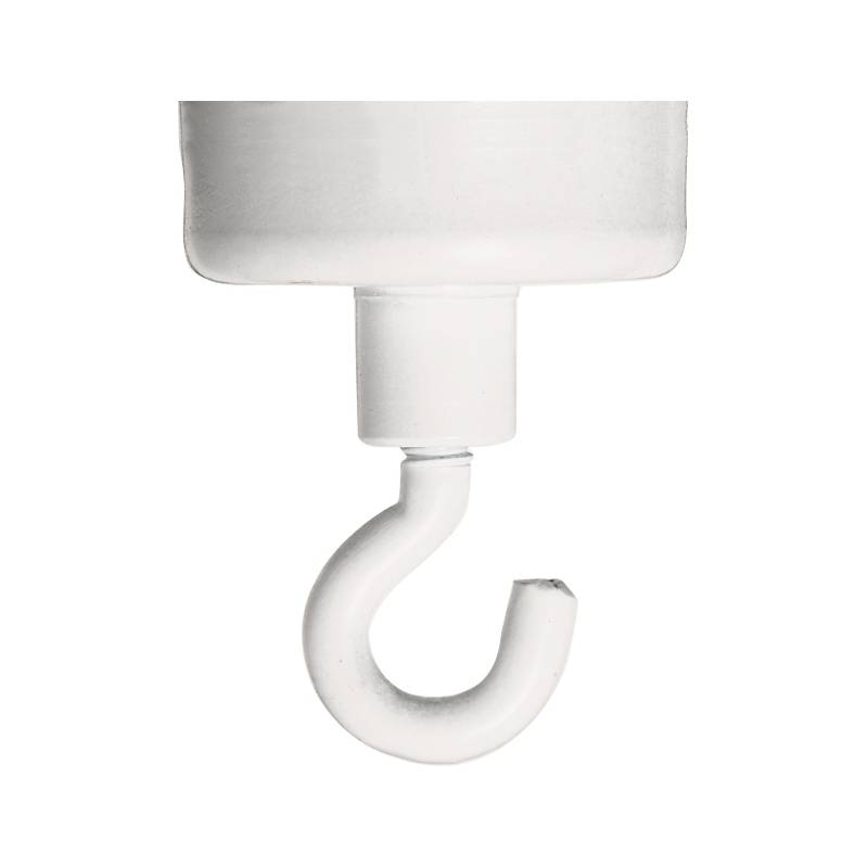 FRANKEN Hakenmagnet, Haftkraft: 10.000 g, Durchmesser: 37 mm