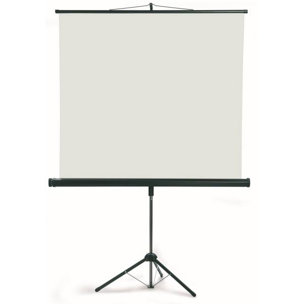 Stativleinwand LWST225 240x240cm