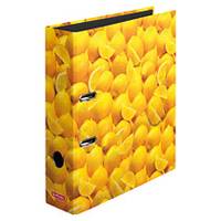Herlitz maX.file - Aktenordner - Rückenbreite: 80 mm