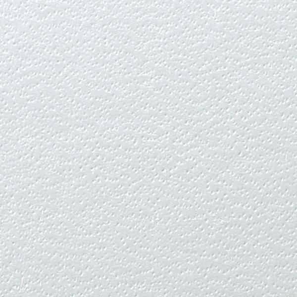 Deckblatt Regency A4 Karton VE=100 Stück weiß