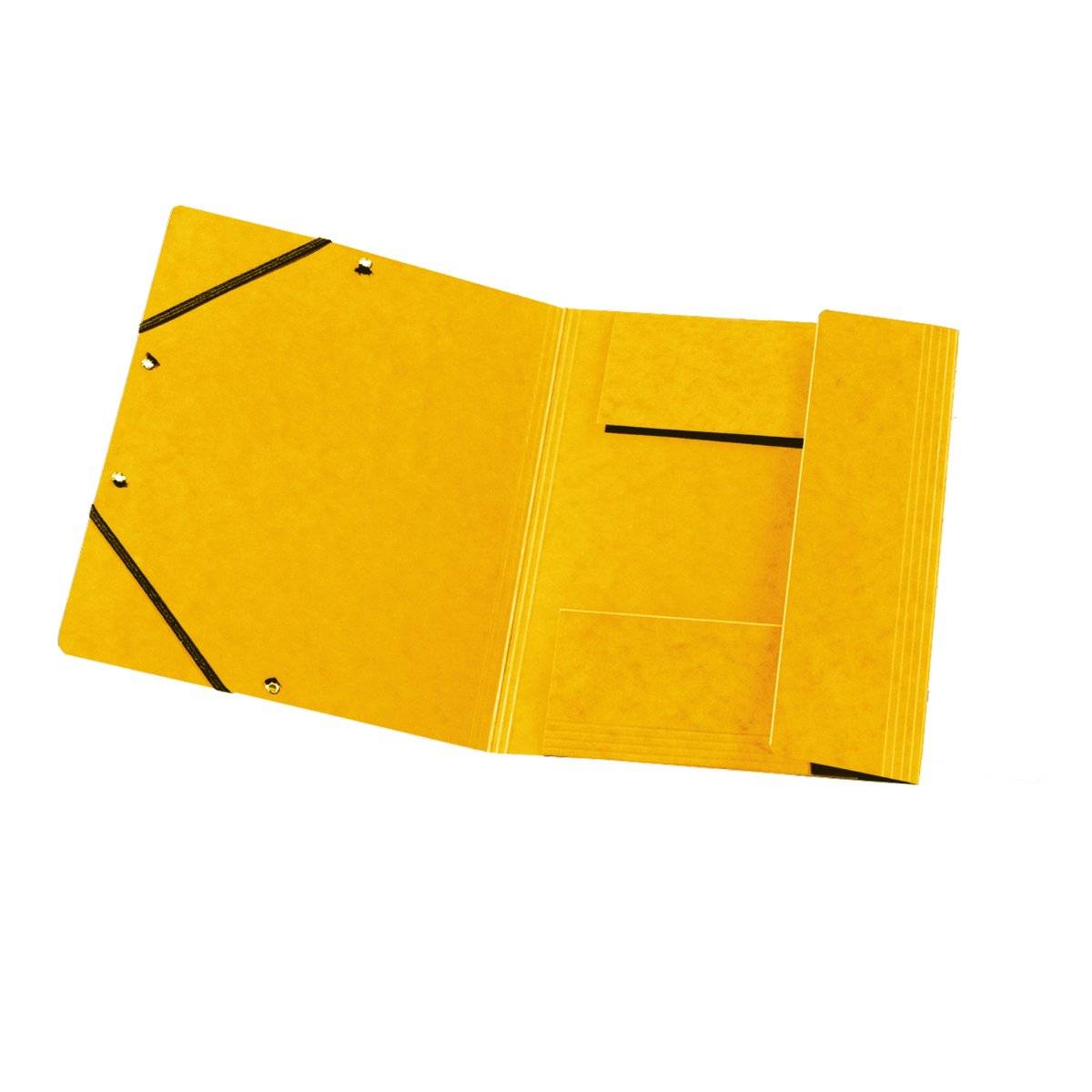Herlitz 11255593, Konventioneller Dateiordner, A4, Karton, Gelb, Gummiband, Deutschland